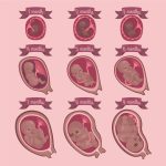 what is a mosaic embryo